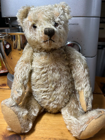 German Steiff for sale Grandma s Teddies