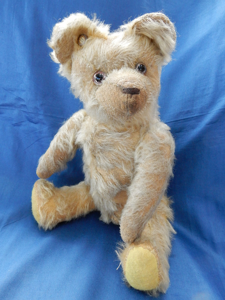 Sold (1920) 1 Early Blue B Yellow Birdie £150 – Grandma's Teddies